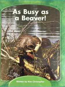 Wright Skills - As Busy As a Beaver! #32 Decodable Grade 3 by Kim Christopher - Foto 1 di 1