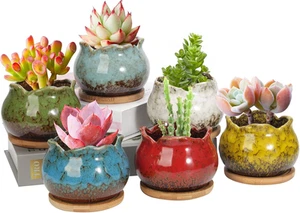 Succulent Pots, 4 Inch Ceramic Plant Pots and Drainage Hole w/ Bamboo Tray, 6Pcs - Picture 1 of 12