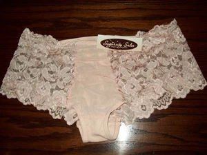 NWT CABERNET STRETCH LACE MESH CHEEKY HIPSTER BOYLEG PANTIES 4236 BLUSH S M - Picture 1 of 2