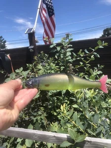 Custom Painted Glide bait Jointed Claw 230mm Magnum Premium Blank TRAPPER HOOKS - Picture 1 of 7