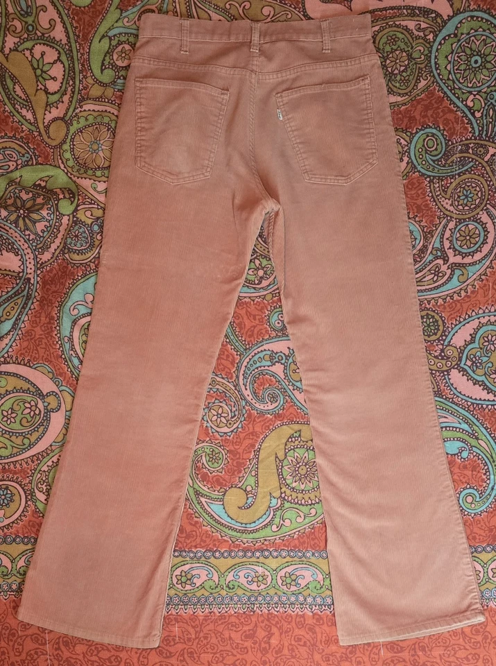 Pantalones de Colección Años 70 Levi’s 646 Rosa Pana Acampanados Campana 32x31 Garra EE. UU. Foto 1 de 4