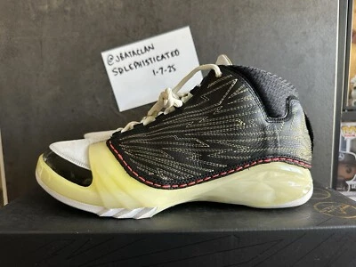Titan x Air Jordan 23 XX3 Retro SP 10º Aniversario Talla 10 Usado Foto 1 de 4