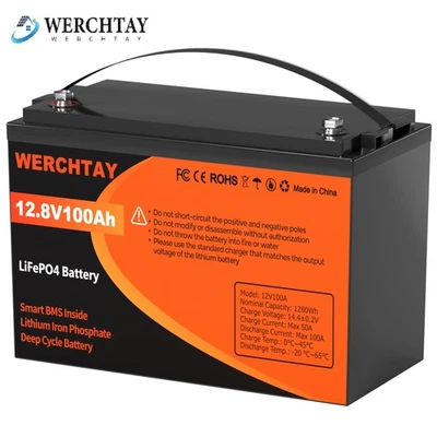 WERCHTAY 12V 100Ah LiFePO4 Akku Lithium Batterie 100A BMS H220MM Solarbatterie Wohnmobil