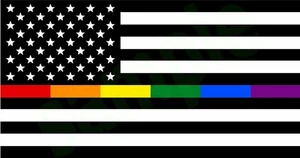 2 Thin Rainbow Line USA B&W LGBT Decal Sticker 5"X 3" USA Flag Gay Pride Respect - Picture 1 of 2