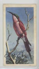 1961 Brooke Bond Tropical Birds Tea Southern Carmine Bee-Eater #17 0y5