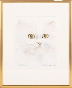 June Crawshaw, 'Weiße Perserkatze' - Bild 1 von 2