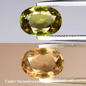 💎 1.09ct VVS Oval Natural Greenish Yellow Alexandrite - Madagascar Gemstone - Picture 1 of 6
