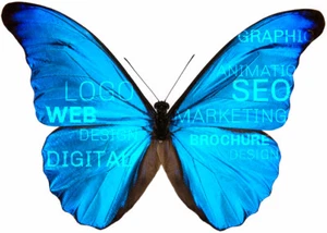 WORDPRESS WEB DESIGN SEULEMENT À PARTIR DE 299 $ - PROFESSIONNEL ET MOBILE FRIENDLY - Photo 1 sur 9