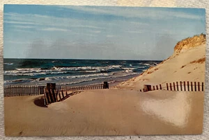 Vintage Postcard! Indiana Dunes State Park! Chesterton, Indiana! Oc3802 - Imagen 1 de 2