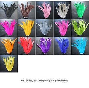 Plumas de cola COQUE de gallo teñido de 12-14" de largo 25 un.16+ colores para elegir, ¡Nuevo! - Imagen 1 de 17