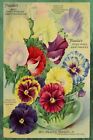 Pansies & Sweet Peas Floral Garden Advert,  Vintage Style Metal Sign