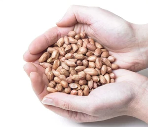Bird Feed Peanuts Premium High Grade Peanuts For Wild Birds (1kg-15kg) - Picture 1 of 3