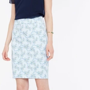 Ann Taylor - Regular & Petite hellblau Multi Ranken Blumen Rock $ 89 (21) - Bild 1 von 5