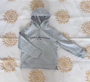 Brand New Tommy Hilfiger Embroidered Sweater - Size M, Perfect for fall! - Picture 1 of 3