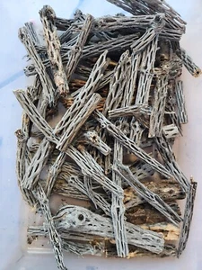 2+ libras CORTES DE MADERA CHOLLA piezas enteras mitades divididas brocas artesanías para acuario masticables - Imagen 1 de 2