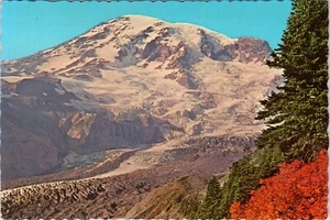 Autumn View of Mount Rainier and Nisqually Glacier Washington Postcard - Picture 1 of 2