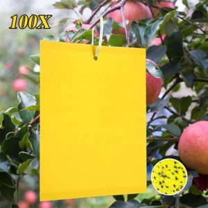 Gelbsticker Trauermücken-100er Gelbtafeln gegen Fruchtfliegenfalle,Insektenfalle - Bild 1 von 24