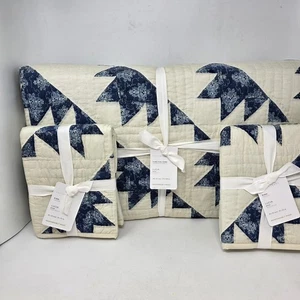 Pottery Barn Lucia Patterned Quilt - King / Cal King 2 Shams NEW Cotton - Picture 1 of 7