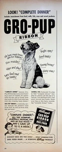Kellogg's Gro-Pup Ribbon 1949 comida para perros anuncio impreso vintage años 40 Fox Terrier - Imagen 1 de 1