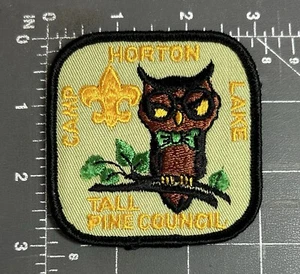 Camp Horton See Eule Hoch Kiefer Rat Michigan Junge Pfadfinder Of Amerika BSA - Bild 1 von 2