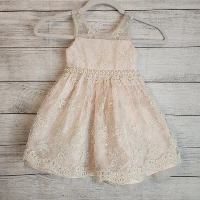 American Princess Kids  Wedding / Formal Party Midi Dress Toddler Sz 3T - Image 1 of 4