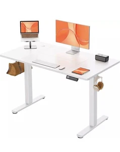 ErGear Electric Standing Desk, Height Adjustable Desk 120 x 60cm, Computer Desk - Picture 1 of 7