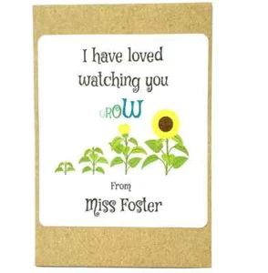 Personalised Teacher Seed Packs with Sunflower Seeds End of Term Pupil Gift x 12 - Picture 1 of 3