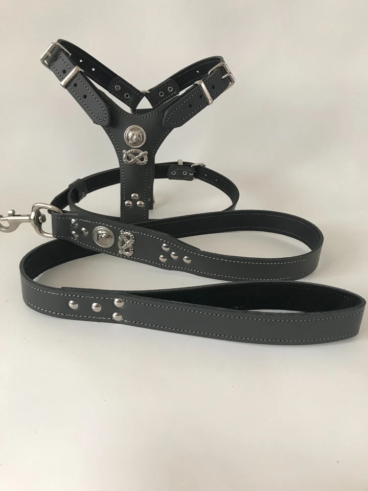  STAFFORDSHIRE/STAFFY BULL TERRIER HARNESS +LEAD SET/REAL LEATHER-SMALL/PUPPY - Image 1 of 1