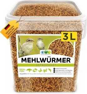 Mehlwürmer getrocknet 3L, Premium Insektensnack Vögel, 460 g (1er Pack)  - Bild 1 von 7