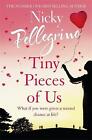 Tiny Pieces of Us, Nicky Pellegrino,  Paperback