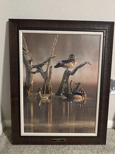 Tranquil waters by Scott Storm Ducks Unlimited 2014 Artist of the year Framed - Picture 1 of 6