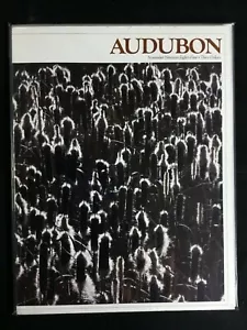 💎AUDUBON MAGAZINE NOV 1984💎 - Bild 1 von 1