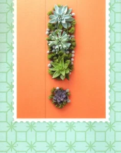 Tarjeta de felicitación suculentas plantas de jardín verdes suculentas sello distintivo - Imagen 1 de 3