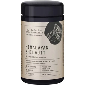 EVOLUTION BOTANICALS HIMALAYAN SHILAJIT 80 TRACE MINERAL COMPLEX 100G - Picture 1 of 3