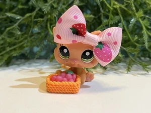 Littlest Pet Shop 2020 Lps autentico arancione marrone bambino gattino gatto occhi verdi - Foto 1 di 6