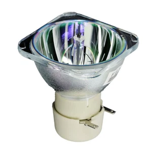 Original Lamp Bulb for INFOCUS SP-LAMP-093 IN112x,IN114x,IN116x,SP1080 - Picture 1 of 5