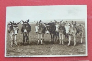 Postal Donkeys Weston Super Mare The Racing Stud 1930 - Imagen 1 de 2