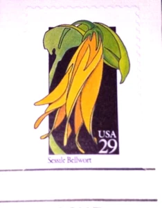 Wildflowers - Sessile Bellwort - 1992 22kt Golden Replica Stamps - Gold Flowers - Picture 1 of 4