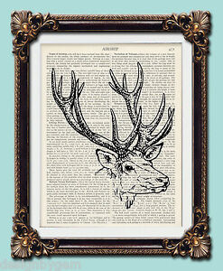 Stag head deer Antique vintage encyclopaedia dictionary art print 10" x 8"