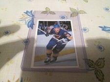 1990-1991 PANINI  STICKER    / 333 BRETT HULL ST-LOUIS BLUES 