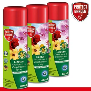 Protect Garden 3 x 400 ml Lizetan Orchideen- & Zierpflanzenspray - Bild 1 von 1