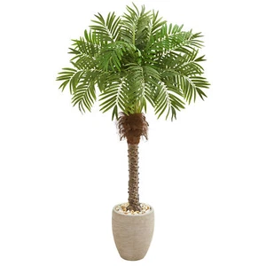 63” Artificial Robellini Palm Tree in Sandstone Planter Home Decor - Picture 1 of 1