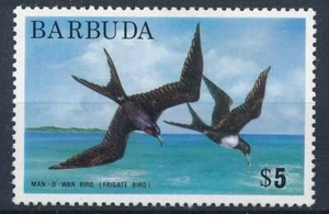 BARBUDA VÖGEL BRIEFMARKEN FREGATTVOGEL HOHER WERT 1975 POSTFRISCH T776 - Bild 1 von 1