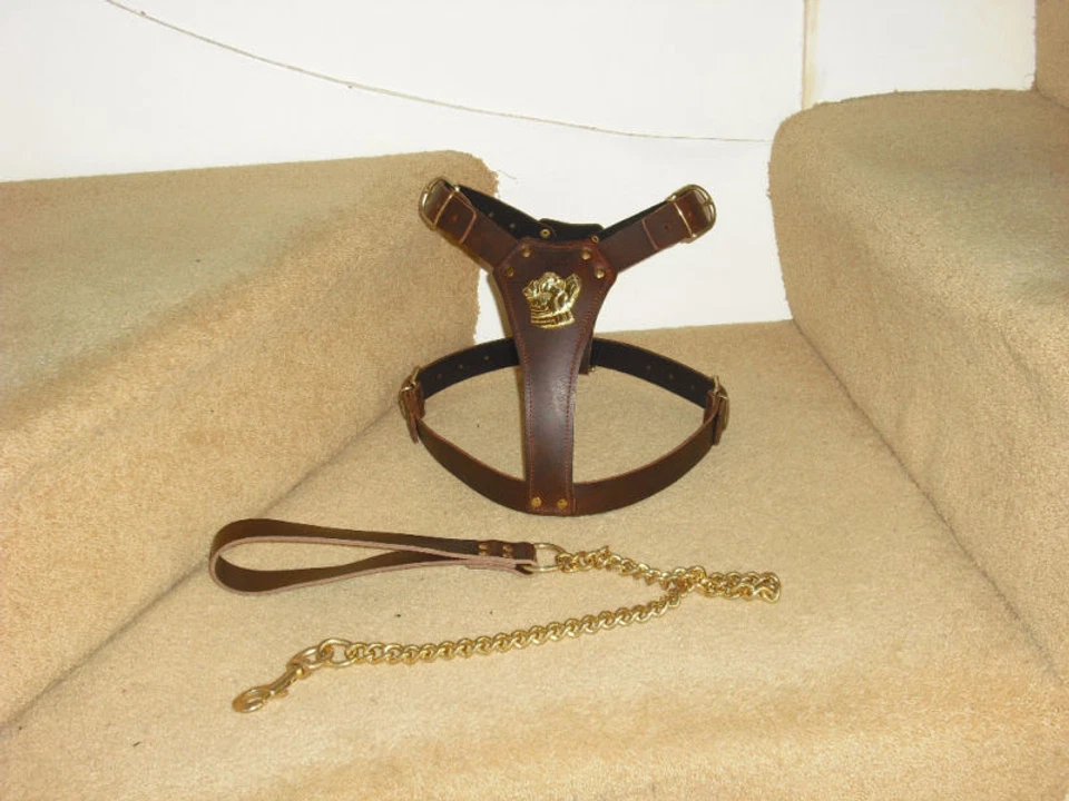 BROWN PADDED LEATHER DOG HARNESS FOR STAFFY WITH LEAD - Image 1 of 4