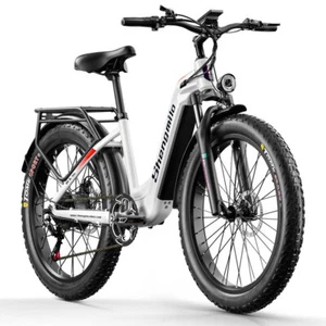 Elektrofahrrad 48V 17.5AH E Mountainbike 25km/h Damen/Herren City E-Bike Pedelec - Bild 1 von 24