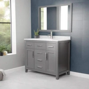 Wyndham Single Sink Vanity 42" 4-Drawer 2-Cabinet Adjustable Hinges in Dark Gray - Picture 1 of 5