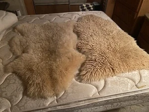 Two Medium Sheepskins ๐ - Picture 1 of 1