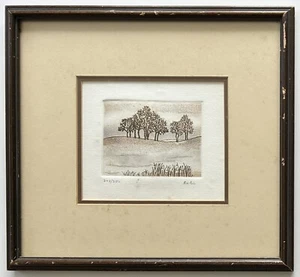 Leopold Robin - original, signed, limited, framed etching "Trees" with COA - Picture 1 of 8