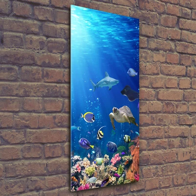 Wand-Bild Kunstdruck aus Hart-Glas Hochformat 50x125 Korallenriff - Bild 1 von 4