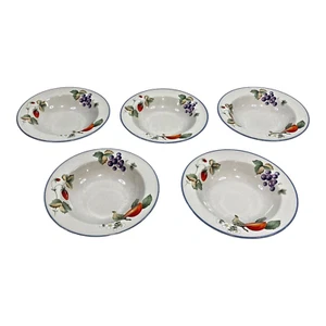 Savoir Vivre LUSCIOUS JJ017 Suppenschüsseln Obst blauer Rand 5 Stück mikrowellengeeignet - Bild 1 von 8